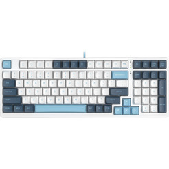 Клавиатура A4Tech Fstyler FS300 Panda Snowboarding