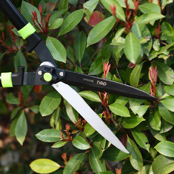 Ножницы садовые Deli EDL580421