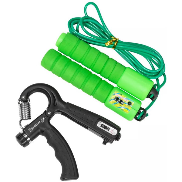 Беговая дорожка Alpin Reise T-173