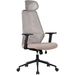 Компьютерное кресло ZONE 51 VECTIS ONE Light Beige (Z51FVCOLB)