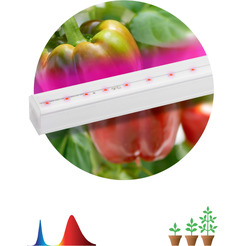 Фитосветильник ЭРА FITO-16W-Т5-N