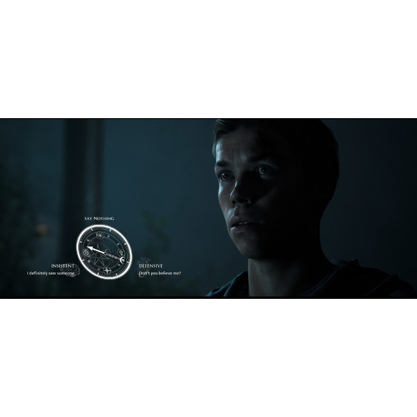 Игра The Dark Pictures Anthology: Little Hope для PlayStation 4