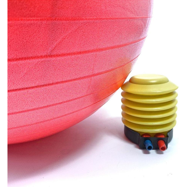 Фитбол с насосом AMETIST 55 см