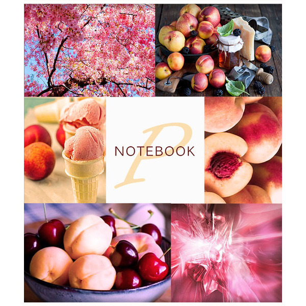 Тетрадь 48 л "Фруктовое мороженое", (Тетрапром) арт. ТО48К9527/Э/6