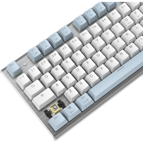 Клавиатура A4Tech Fstyler FS100 Neon (серебристый/голубой)