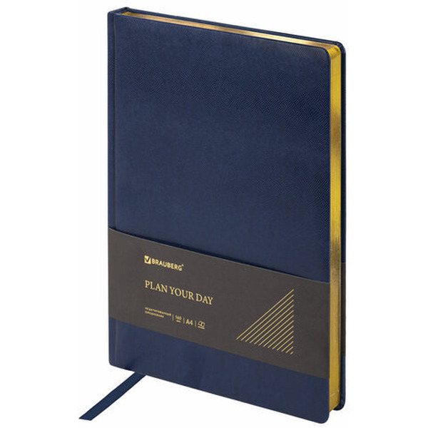 Ежедневник BRAUBERG недатированный Iguana 114451 (синий)