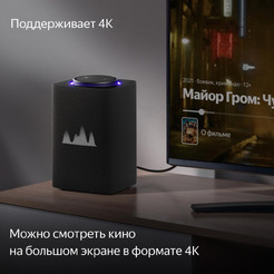 Умная колонка Яндекс Станция Макс с Алисой и Zigbee (YNDX-00053K) графит