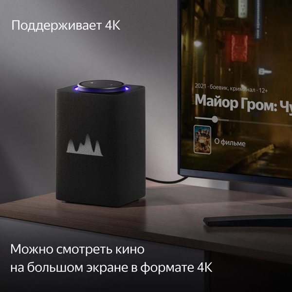 Умная колонка Яндекс Станция Макс с Алисой и Zigbee (YNDX-00053K) графит