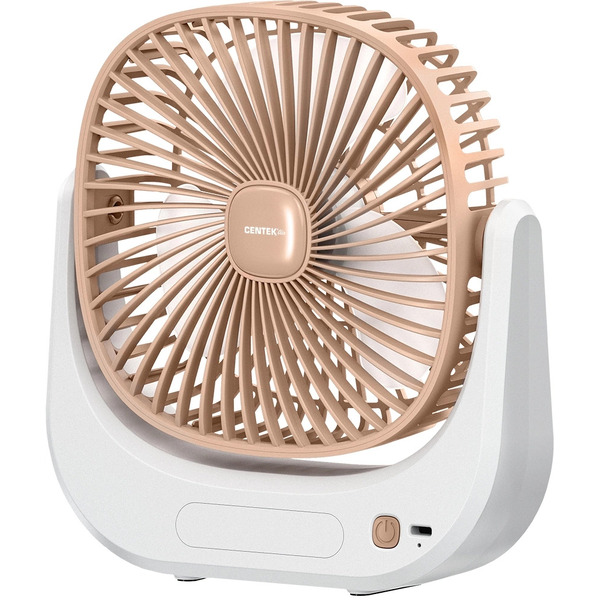 Вентилятор CENTEK CT-5041