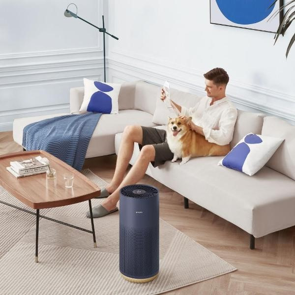 Очиститель воздуха SmartMi Air Purifier 2 (графитовый синий)