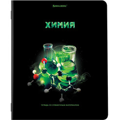 Тетради предметные BRAUBERG 404324 (КОМПЛЕКТ 12 ПРЕДМЕТОВ, 48л, глянцевый УФ-лак)