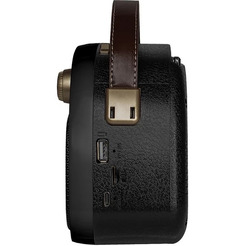 Радиоприёмник RITMIX RPR-040 (черный)