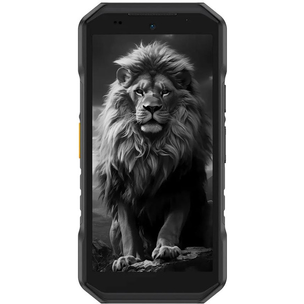 Смартфон Ulefone Armor X32 Pro 8GB/256GB (черный)