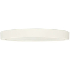 Умный  светильник Connect EKF sclwf-230-cct