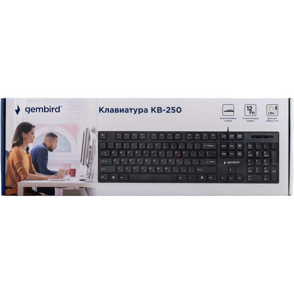 Клавиатура Gembird KB-250