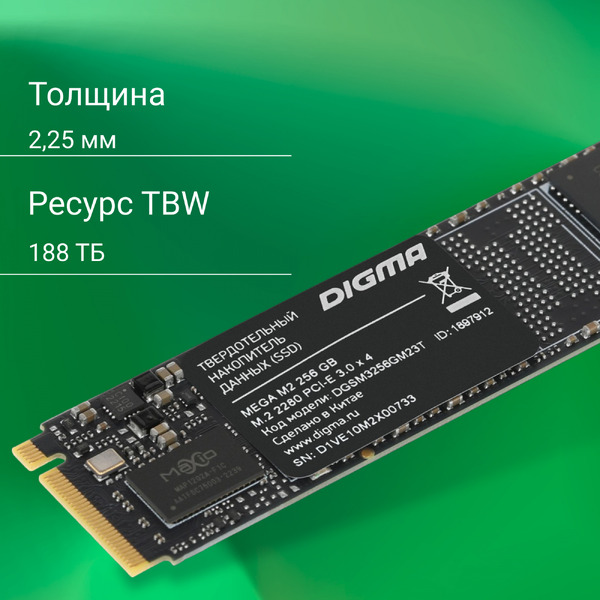 SSD Digma Mega M2 256GB DGSM3256GM23T