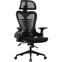 Кресло компьютерное EVOLUTION HarmonySpine