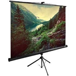 Экран CACTUS TriExpert CS-PSTE-220X220-BK
