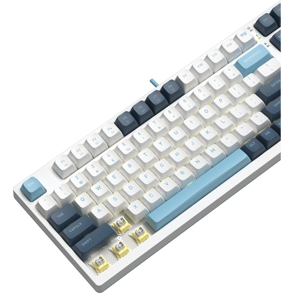 Клавиатура A4Tech Fstyler FS300 Panda Snowboarding