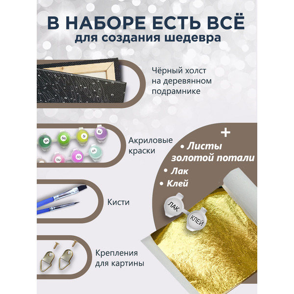 Картина по номерам Флюид Жажда скорости 40x50 MB0001