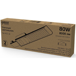 Светильник консольный Gauss 629534380