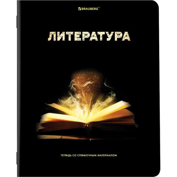 Тетради предметные BRAUBERG 404324 (КОМПЛЕКТ 12 ПРЕДМЕТОВ, 48л, глянцевый УФ-лак)