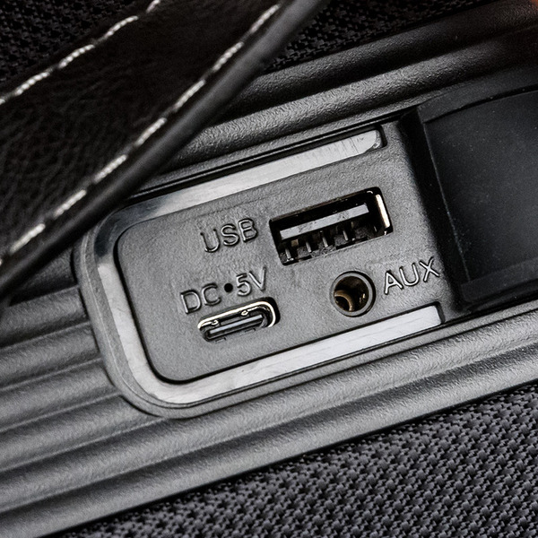 Акустическая портативная колонка Dialog Progressive AP-12