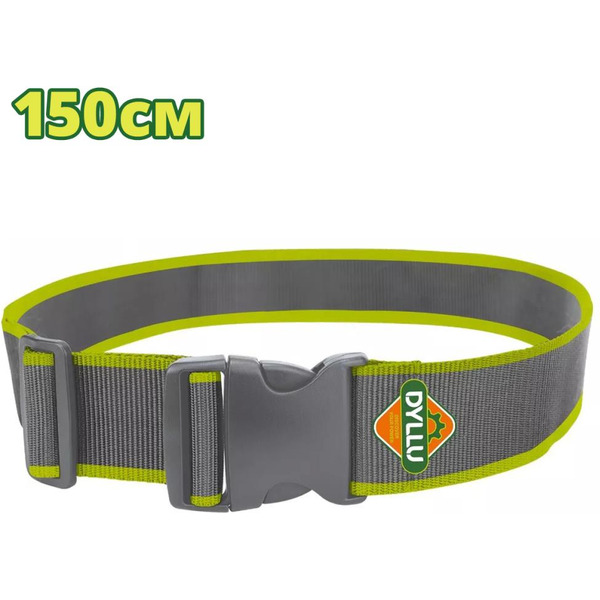 Пояс Dyllu DTTG1100