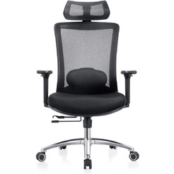 Кресло компьютерное EVOLUTION ERGO PRIME Black