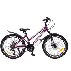 Велосипед Greenway Colibri-H 24 (фиолетовый/розовый)