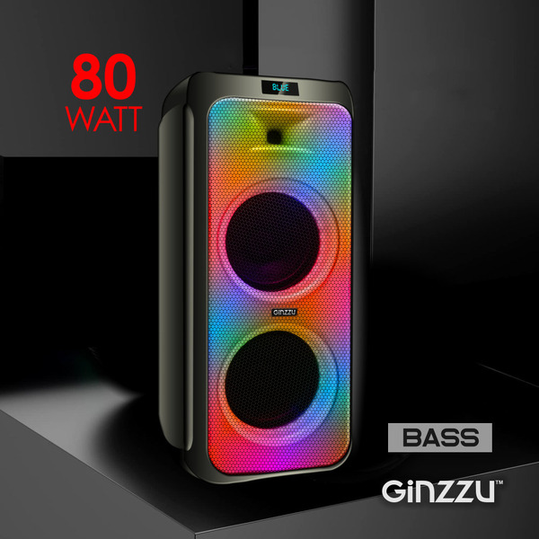Колонка для вечеринок Ginzzu GM-215