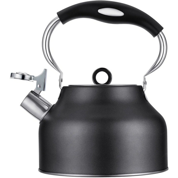 Чайник со свистком Regent Inox 93-TEA-49