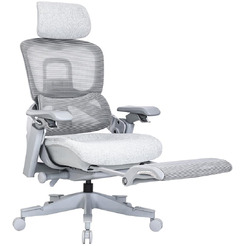 Кресло компьютерное EVOLUTION ZX 1