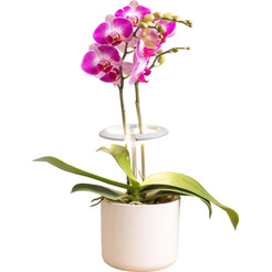 Светильник фито Cactus CS-LED-ORCHID