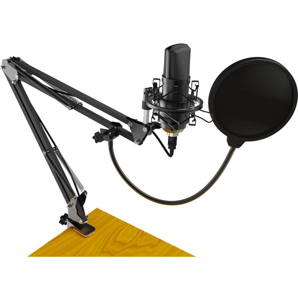 Микрофон Ritmix RDM-169