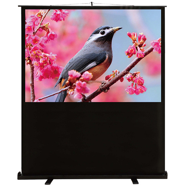 Экран Cactus FloorCompactExpert CS-PSFLCE-200x150