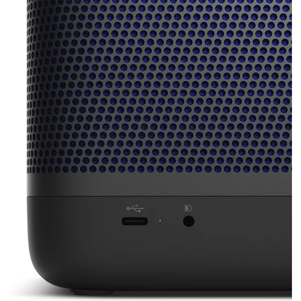 Беспроводная колонка Bang & Olufsen Beolit 20 (черный)