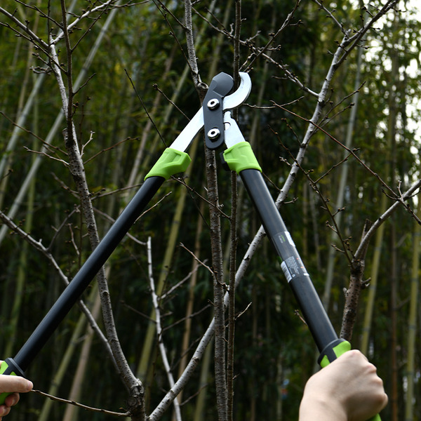 Сучкорез Deli EDL580321