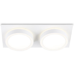 Светильник Ambrella TN52423/2 WH/FR (белый/белый матовый)