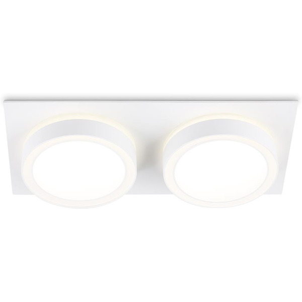 Светильник Ambrella TN52423/2 WH/FR (белый/белый матовый)