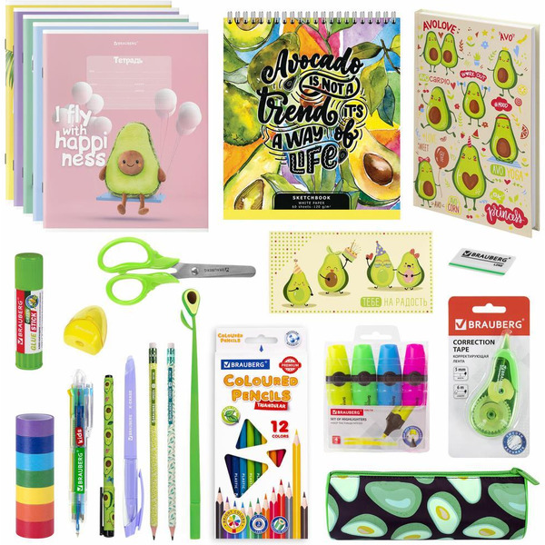Набор канцелярии подарочный BRAUBERG AVOCADO 880951 (43 предмета)