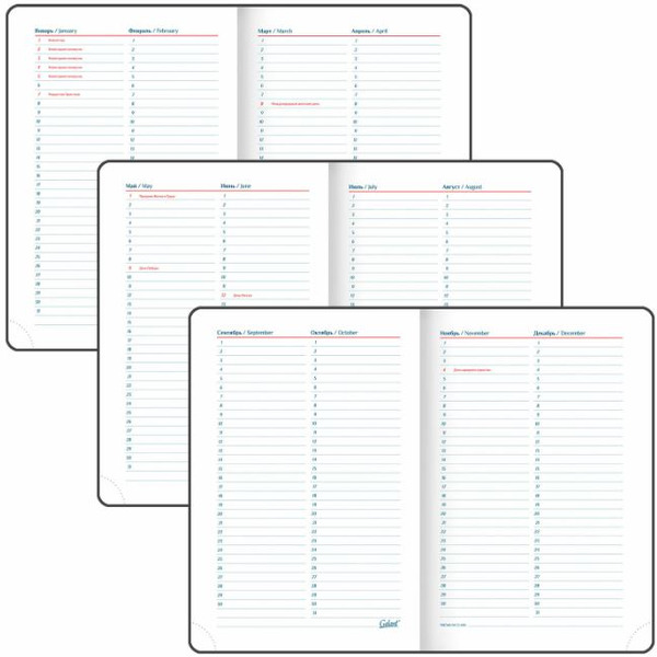 Ежедневник GALANT недатированный Ritter 114464 (черный)