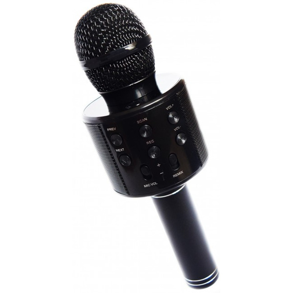 Микрофон Wise WS-858 (черный)