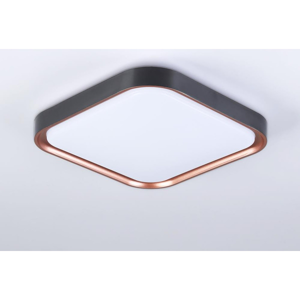 Потолочный светодиодный светильник Ambrella Light FZ1265 BK/PGD
