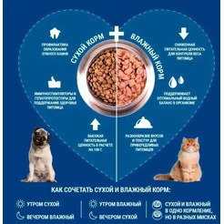 Влажный корм для собак Monge Monoprotein паштет из утки, консервы (400г)