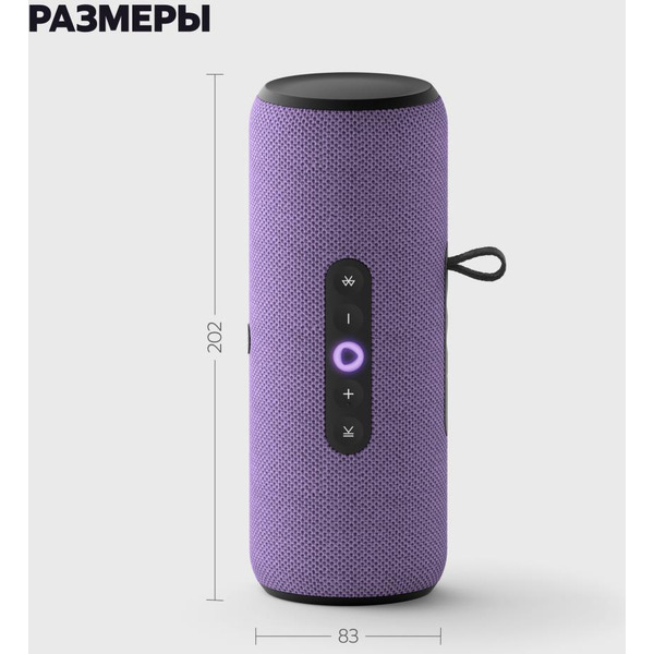 Портативная Умная колонка Яндекс.Стрит YNDX-00030VIO (фиолетовый)