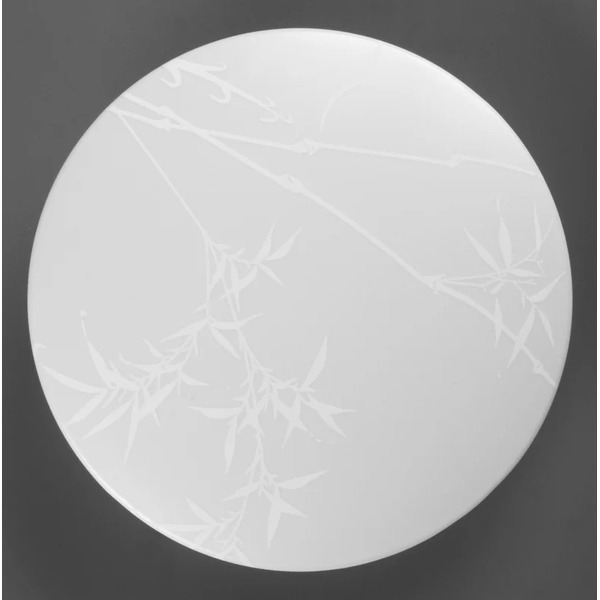 Светильник General Lighting Systems Reed GSMCL-019-12 800256