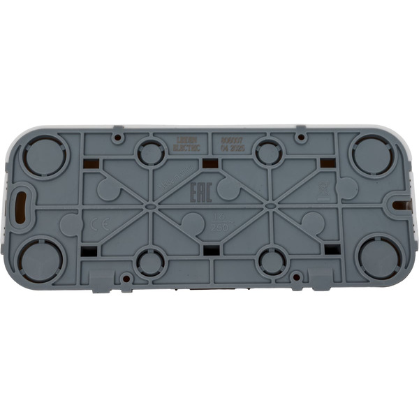 Розетка Leiden Electric Bailly 806008 (белый)