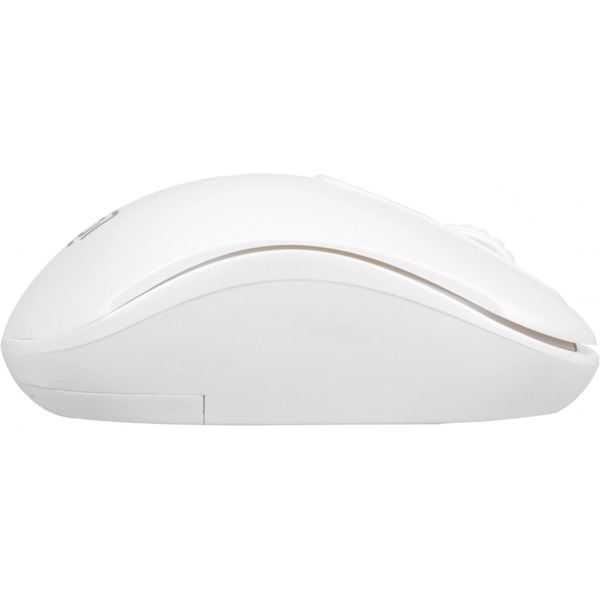 Мышь Oklick 505MW (белый)