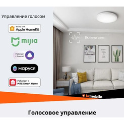 Умный потолочный светильник Yeelight Ceiling Light Arwen YLXD013 450S